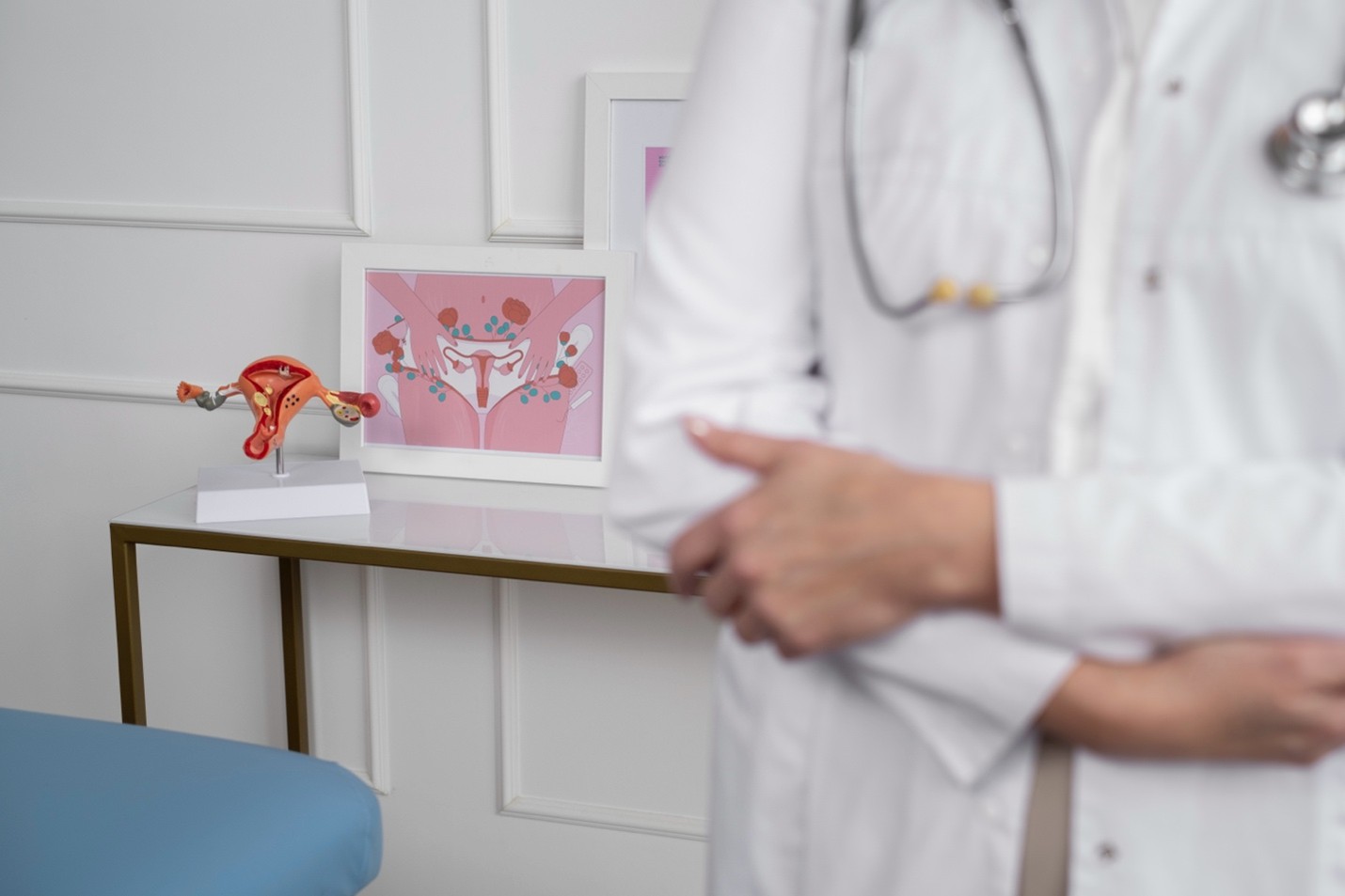 Un medic ginecolog în cabinetul său, alături de un model anatomic al sistemului reproducător feminin, pregătit pentru o consultație de fertilitate.